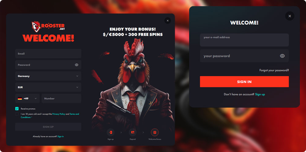 Rooster.Bet Casino Login and Registration